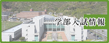 学部入試情報