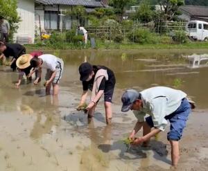 かんきもん援農部門活動写真