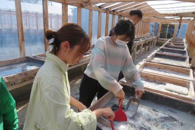 田野町塩作り体験４