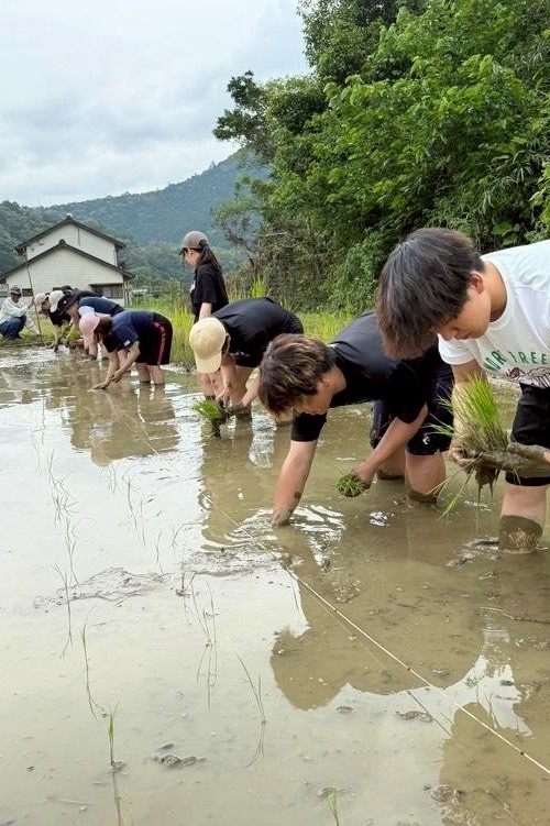 かんきもん