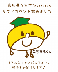 Instagramサブアカウント