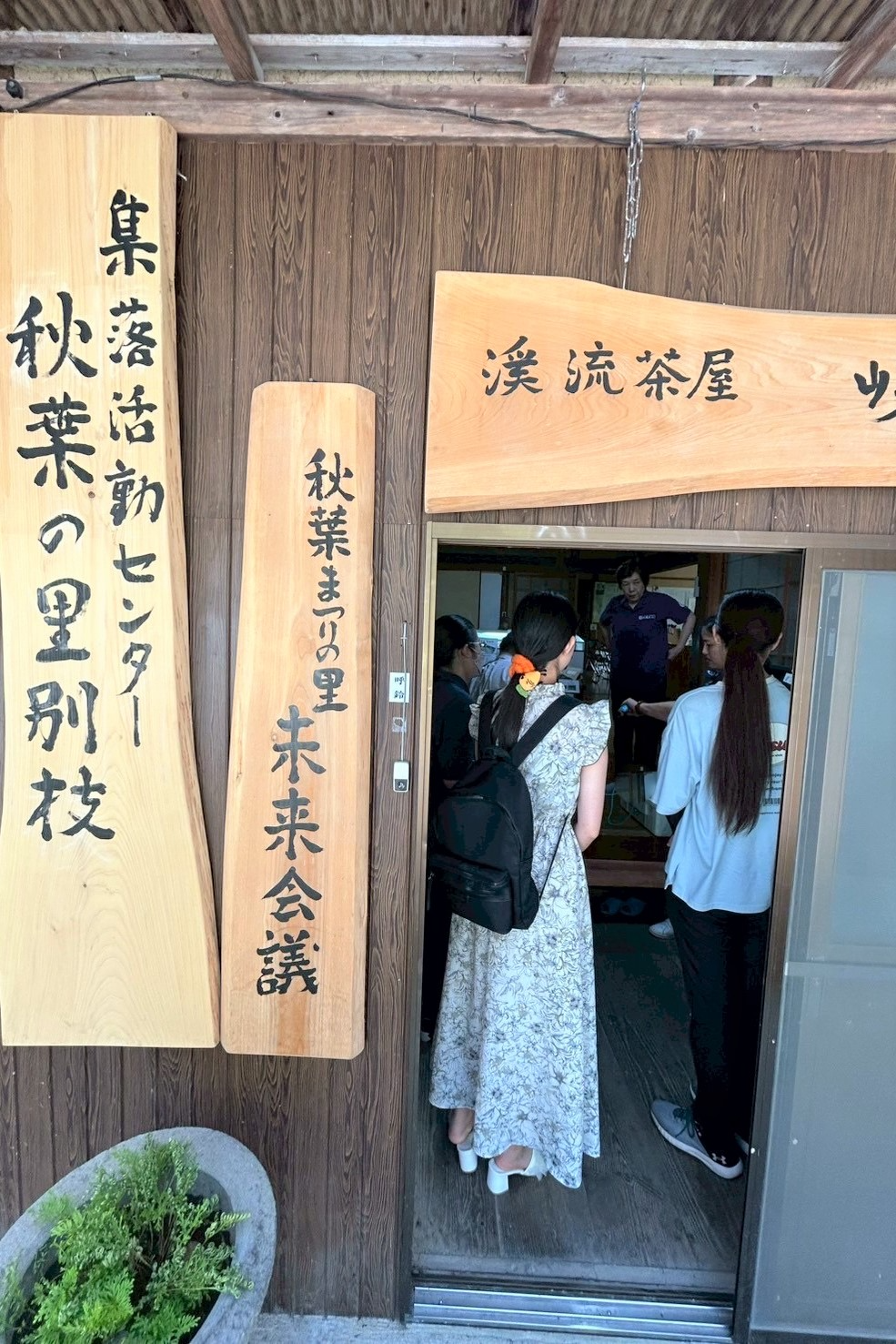 Pシスターズ