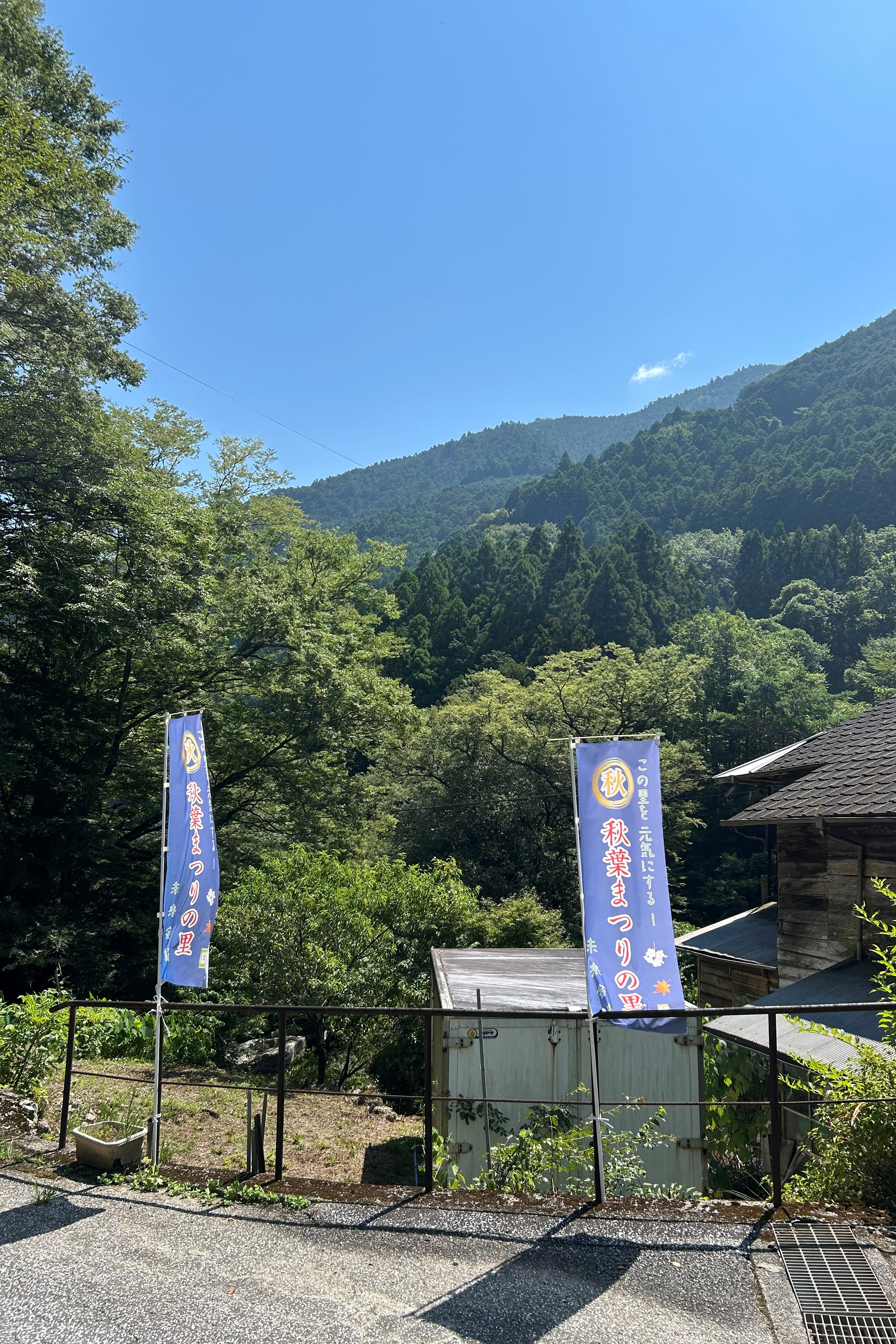 Pシスターズ
