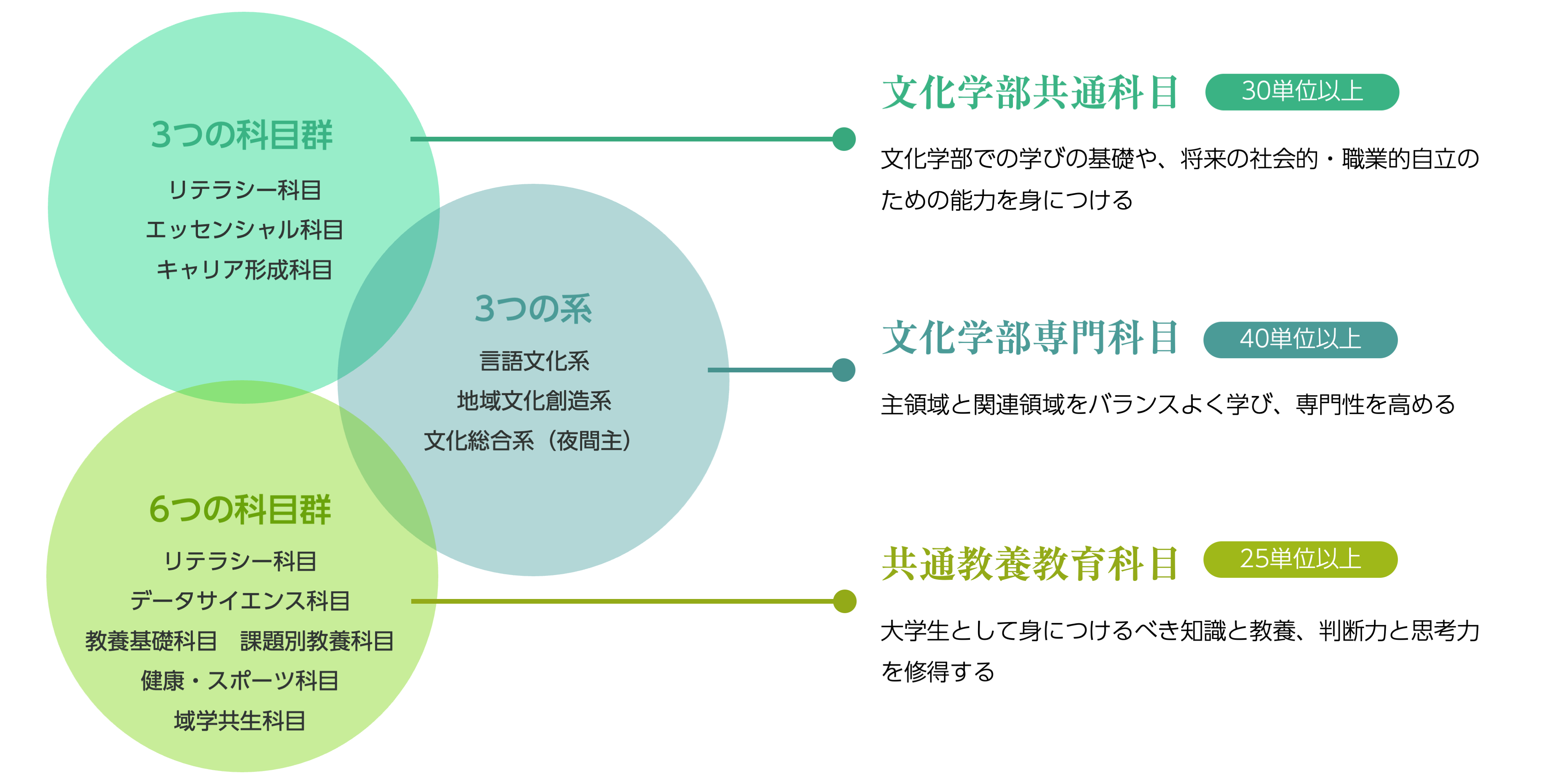 カリキュラムの構造