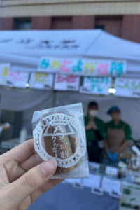 おおとよ探検隊1108