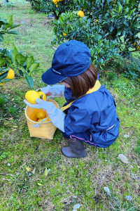 かんきもん援農部門11月