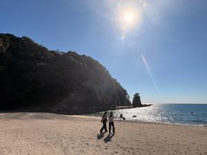 下川口家コスモス祭り6