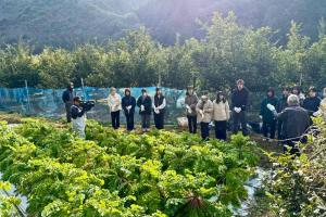 かんきもん援農部門0118