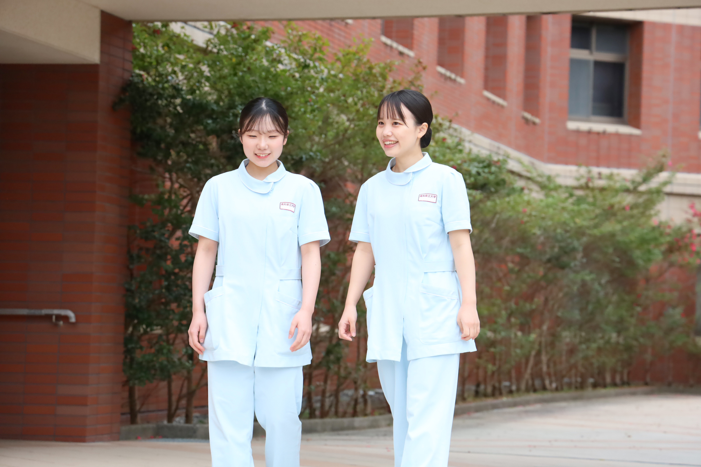 メイングラフィック