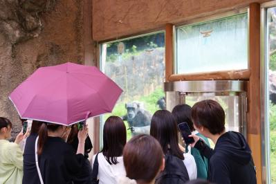 動物園見学