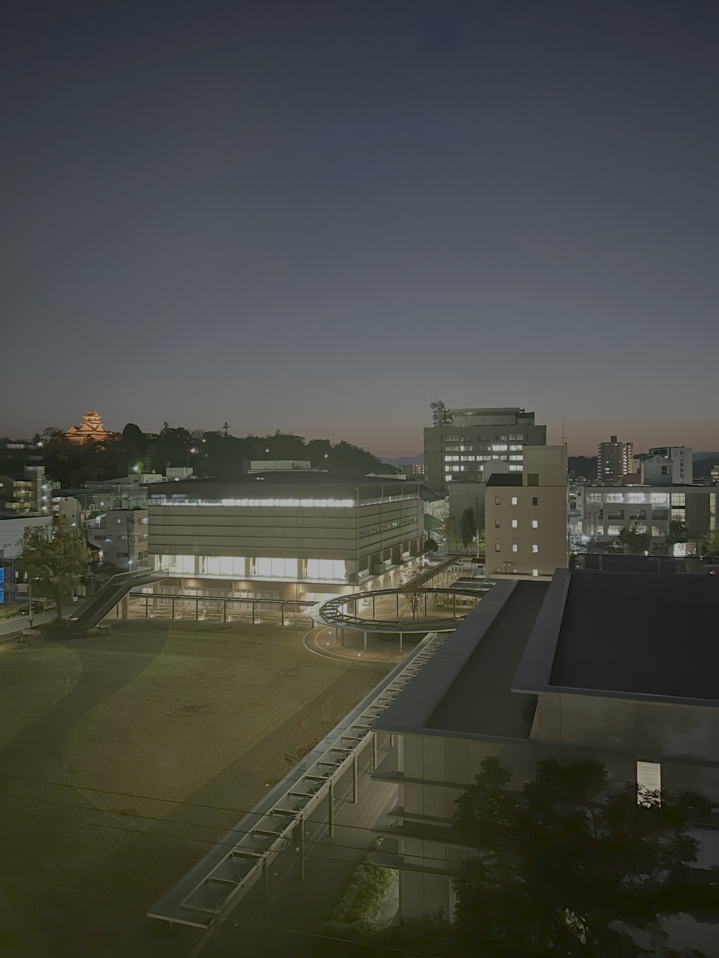 在学生の声