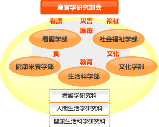 研究領域の画像