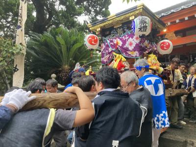 鵜来島活動の様子