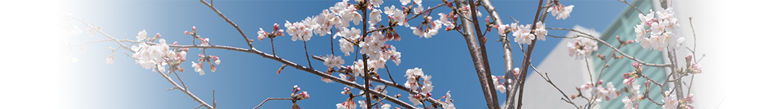 2026年度新入生のみなさまへのタイトル画像